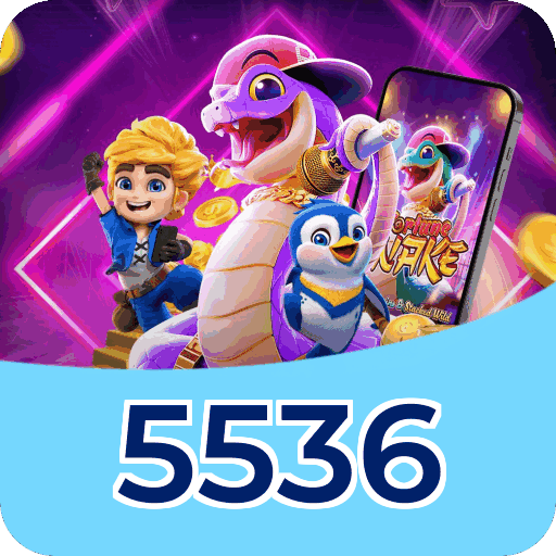 Interface 5536